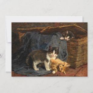 Três Gatinhos   Julius Adam, o Younger