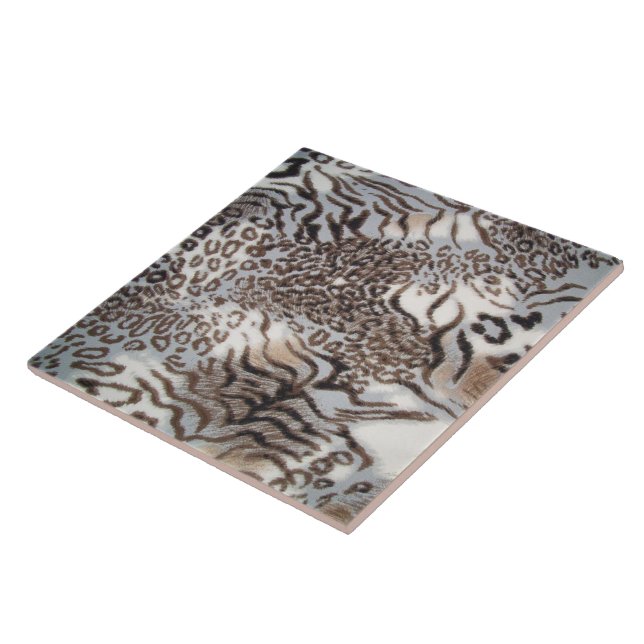 Três Gatos (Lateral)