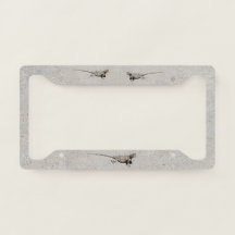 Três Lagartos do Deserto em Sidewalk