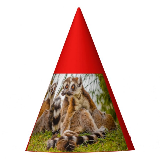 três lêmures de Chapéu de Festa (Frente)