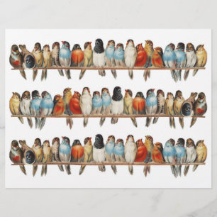 Três Linhas de Vintage Genuinely (sem AI) de Aves