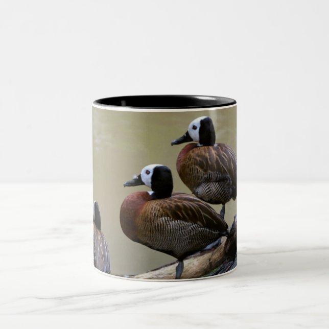 Três patos em uma caneca do registro (Centro)