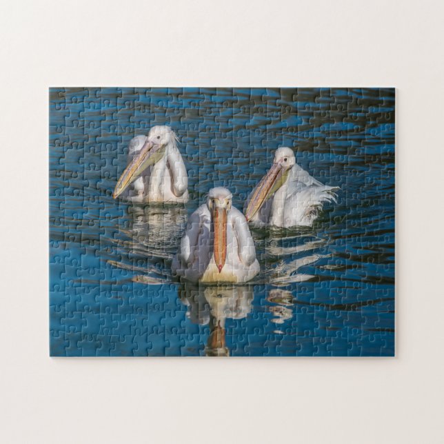 Três pelicanos quebra-cabeça (Horizontal)