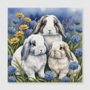 Três pequenos cartões magnéticos de coelhos coelho