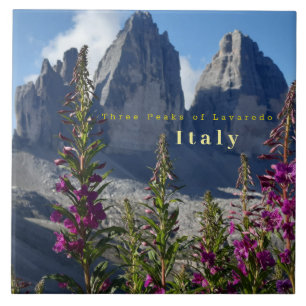 Três picos de Lavaredo Wildflower Itália