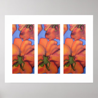 Três Poster de tomate