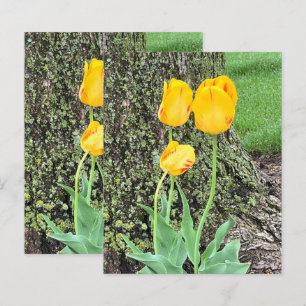 Três Tulipas Amarelas / Papel de Scrapbook