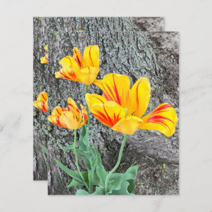 Três Tulipas Amarelas Sequel / Papel Scrapbook