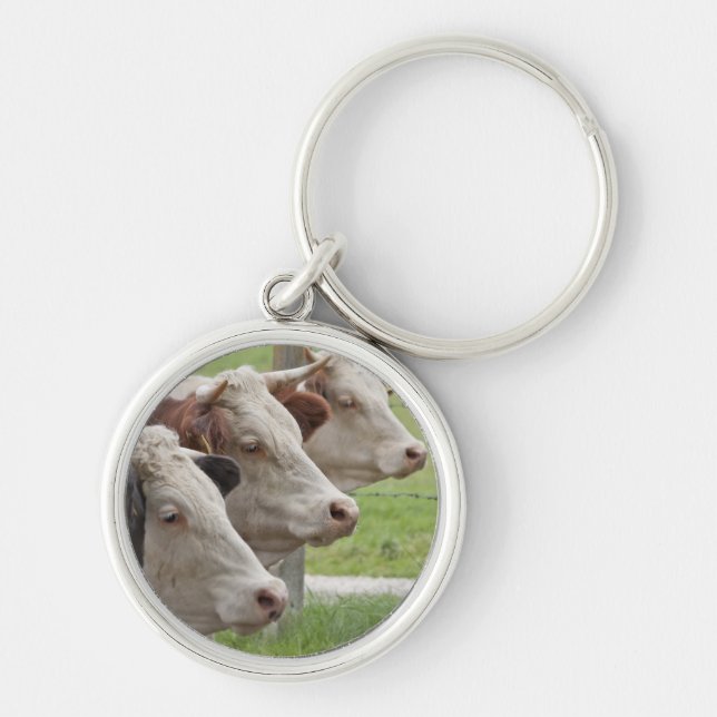 Três Vacas em um Chaveiro de Linha (Frente)