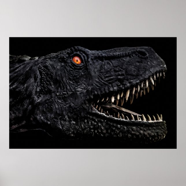 Trex Dinossaur Cabeça Poster Escura (Frente)