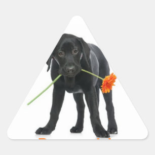 Triangular adesivo cão/flor