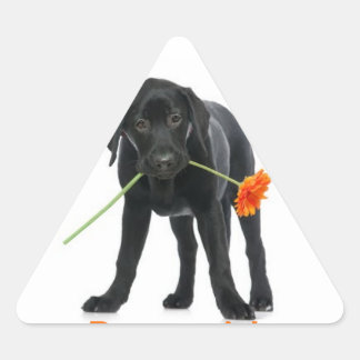 Triangular adesivo cão/flor