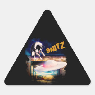 Triangular adesivo com nitz do Reparo de Saucer de Bob