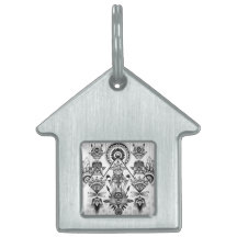 Tribal Nativo abstrato