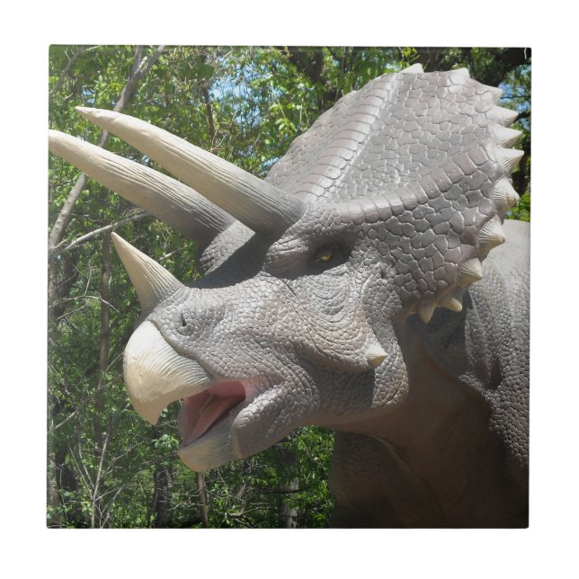Triceratops dinossauro (Frente)