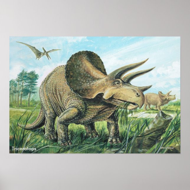 Triceratops Poster (Frente)