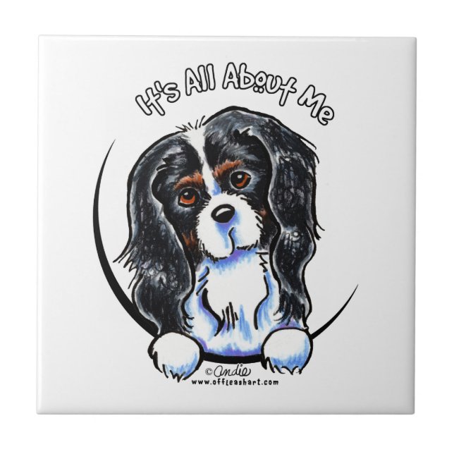 Tricolor Cavalier CKCS IAAM (Frente)