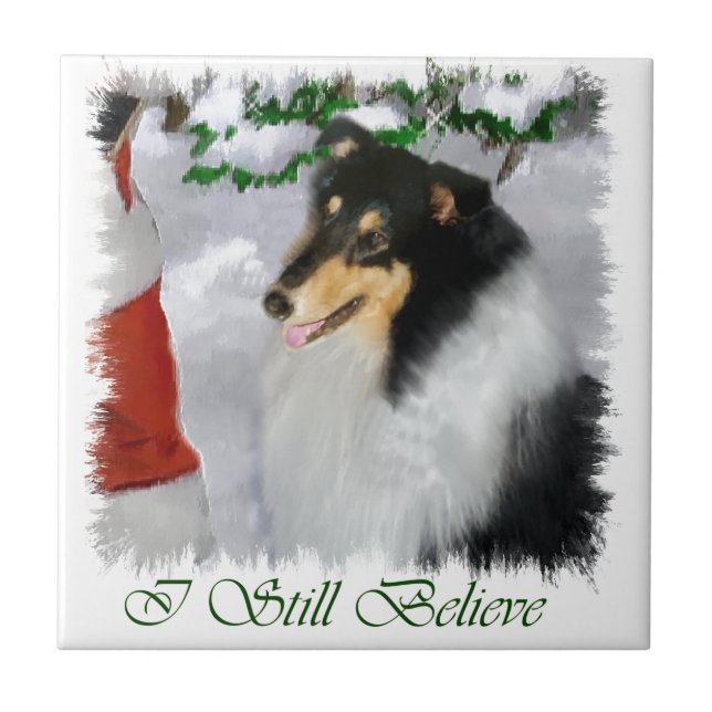 Tricolor Collie Natal (Frente)