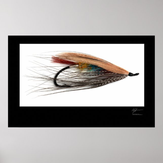Tricolor Salmon Fly Poster (Frente)