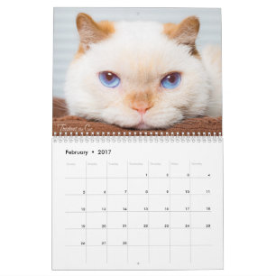 Trident 2017 o calendário do gato