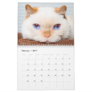 Trident 2017 o calendário do gato