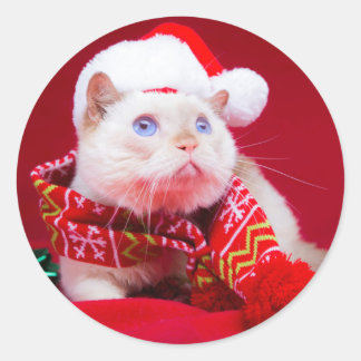 Tridente o Mini Adesivo Gato