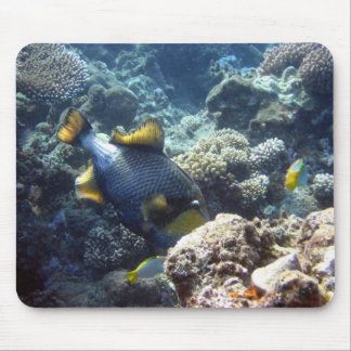 Triggerfish Mousepad do titã