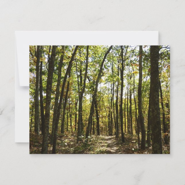 Trilha Appalachian em outubro em Shenandoah (Frente)