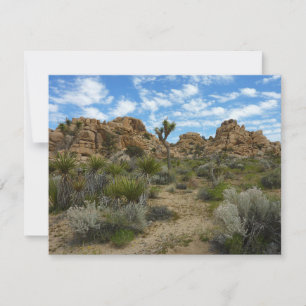 Trilha de Barker Dam Loop no Parque Nacional de Jo