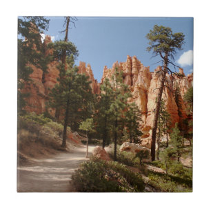 Trilha do Parque Nacional do Bryce Canyon