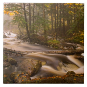 Trilhas Fluindo Trilha Appalachiana Vermont