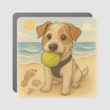 Trilhos e Caudas de Aventura - Peggy na Praia