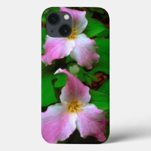 Trillium