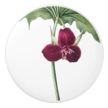 Trillium Botânico