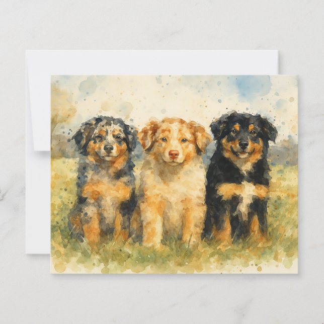 Trio de Aquarelas de Pastores Australianos em Camp (Frente)