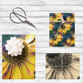 Trio de Flores de Hélio Douradas e Roxas