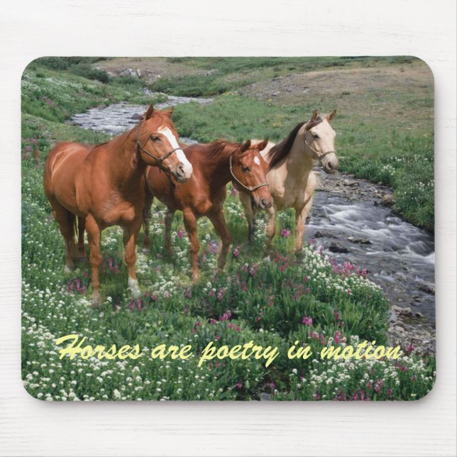 Trio Mousepad do cavalo (Frente)