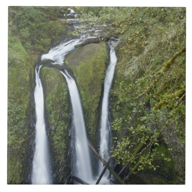 Triple Falls, Desfiladeiro do Rio Columbia (Frente)