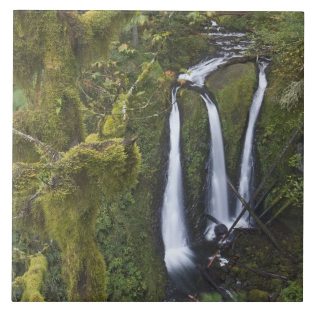 Triple Falls, Garganta do Rio Columbia (Frente)