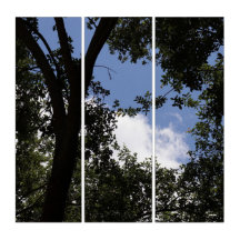 Triptych do Sky de Branch-Bound