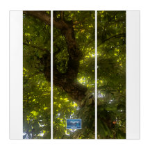 Triptych Wh.(Sun Green Tree 2)SDCescartazes ©️ 202