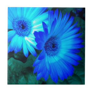 Trivet Azulejo Brilliant Blue Daisies