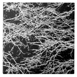 Trivet/Azulejo de inverno