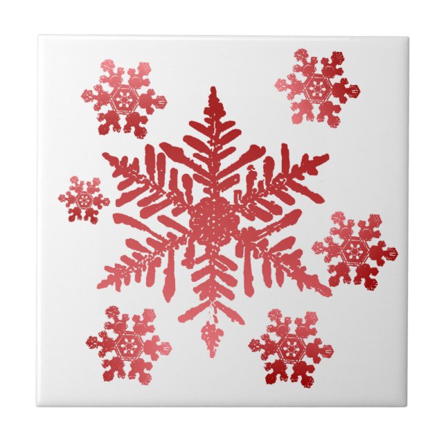 Trivet Azulejo Floco de Neve (Frente)