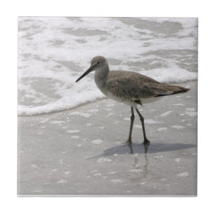 Trivet de Azulejos cerâmicos de Shorebird de Prai