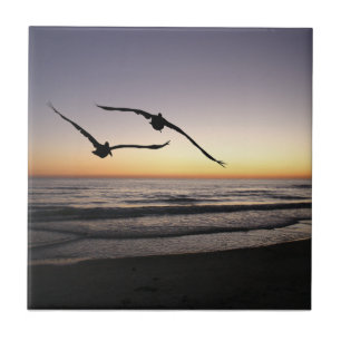 Trivet de Azulejos cerâmicos de Shorebird de Prai