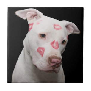 Trivet de beija-flores