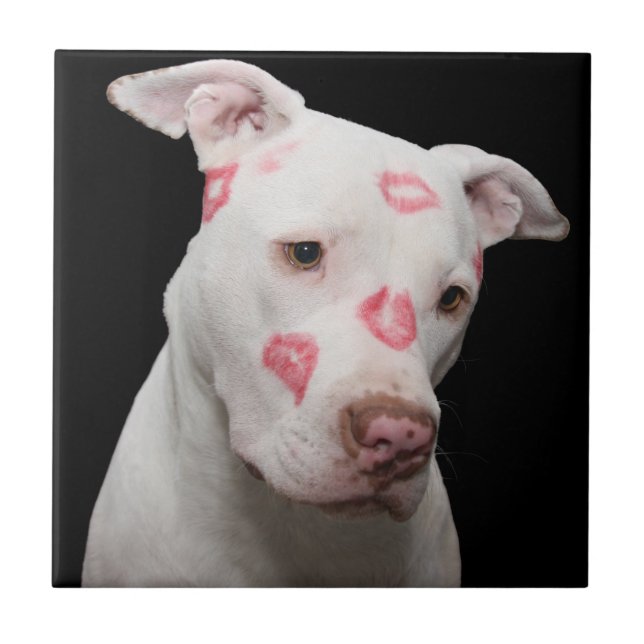 Trivet de beija-flores (Frente)