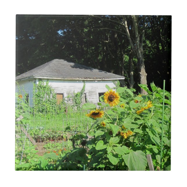 Trivet do Jardim do País (Frente)