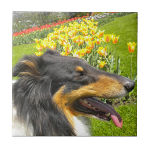 Trivet Três Collie N, Azulejo Tulips